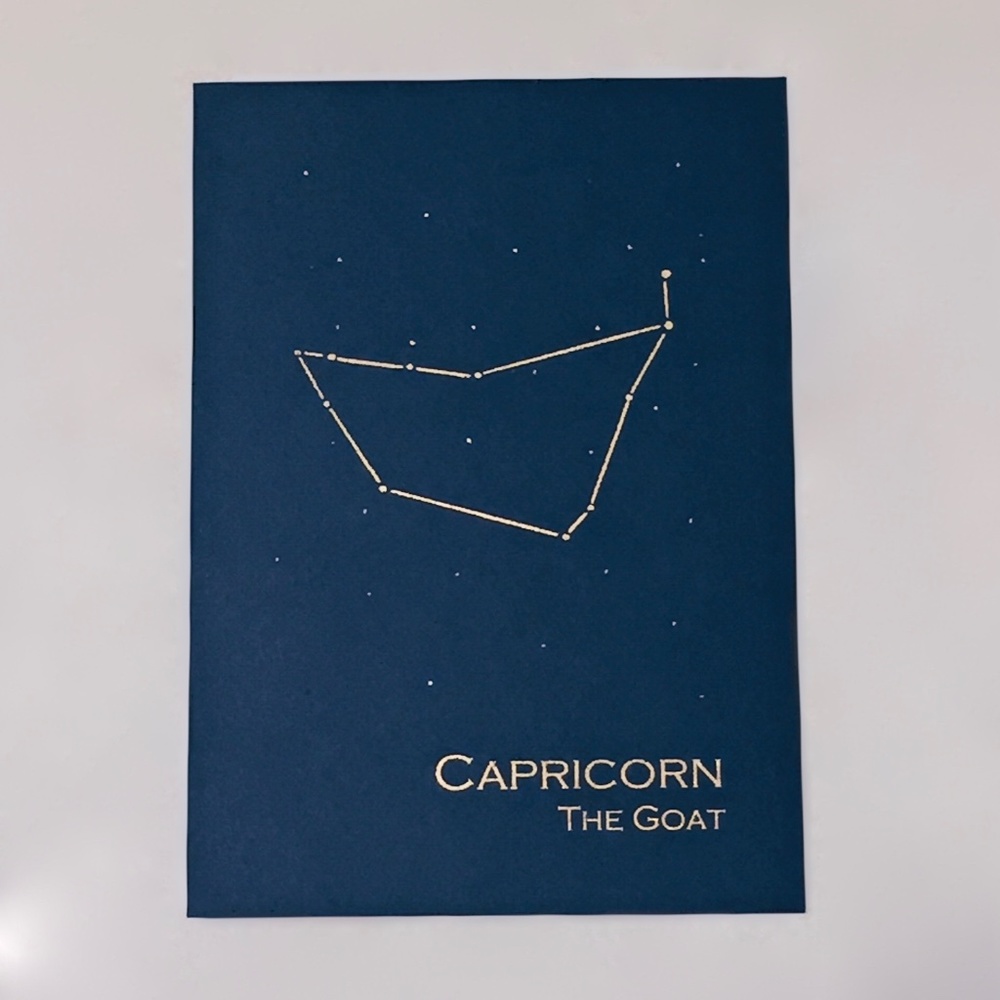 Capricorn Constellation Zodiac Wall Art